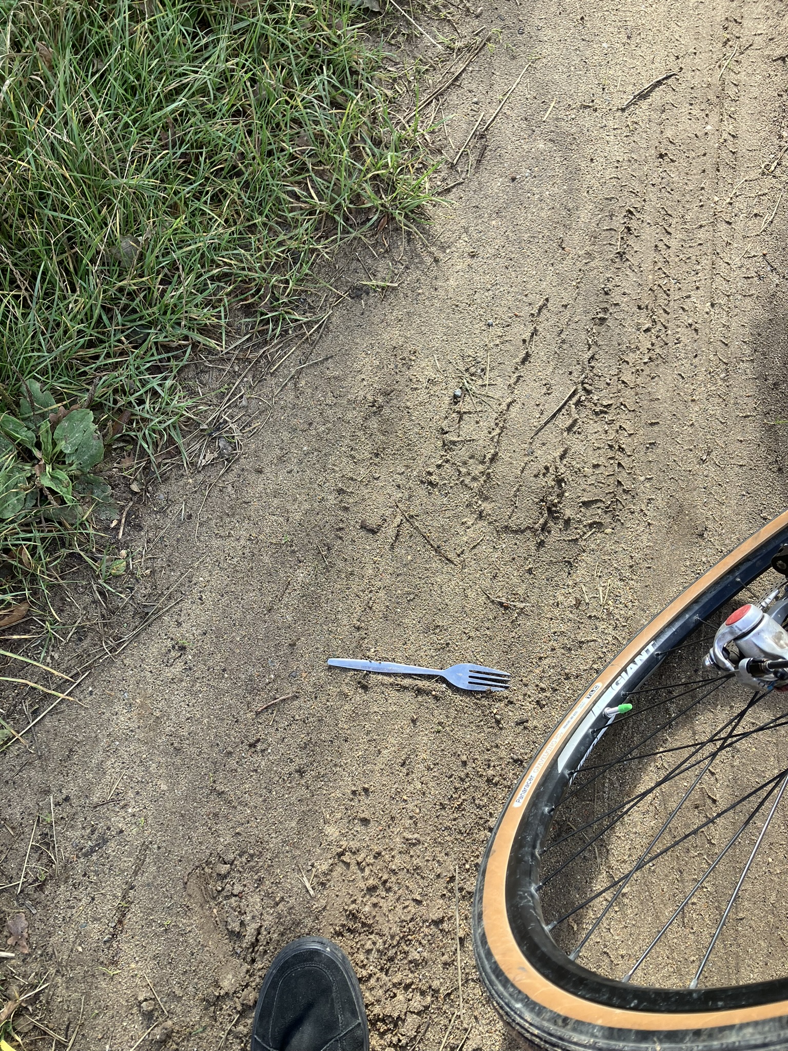 Fork in the road